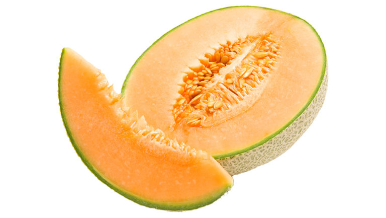 Persian Melon