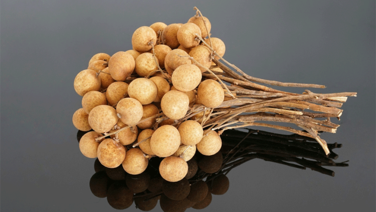 Longan