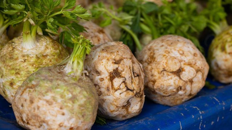 Celery Root/Celeriac