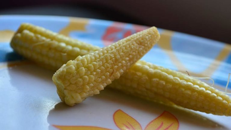 Baby Corn/Candle Corn