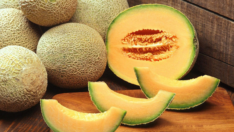 Cantaloupe/Muskmelon