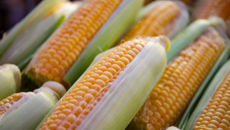 Corn