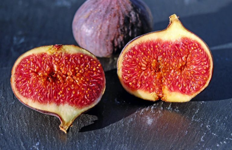 Fig