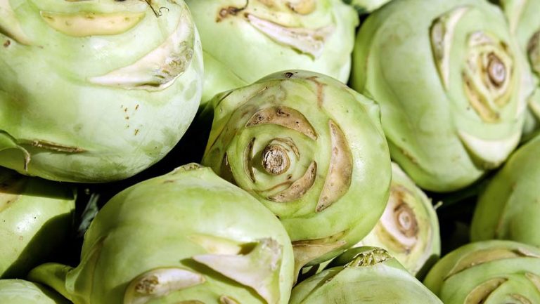 Kohlrabi