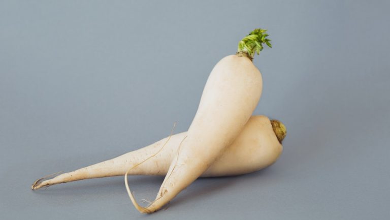 Daikon Radish