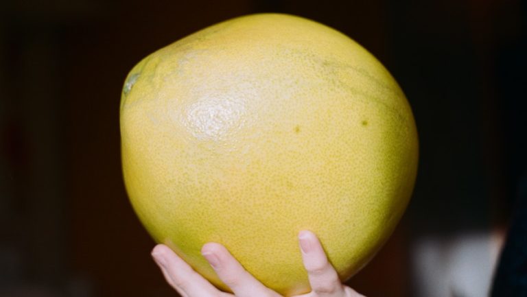 Pomelo