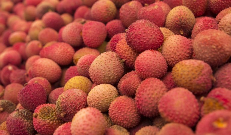 Lychee