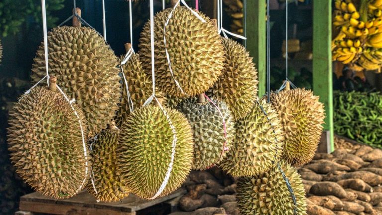 Durian