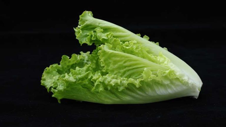 Romaine