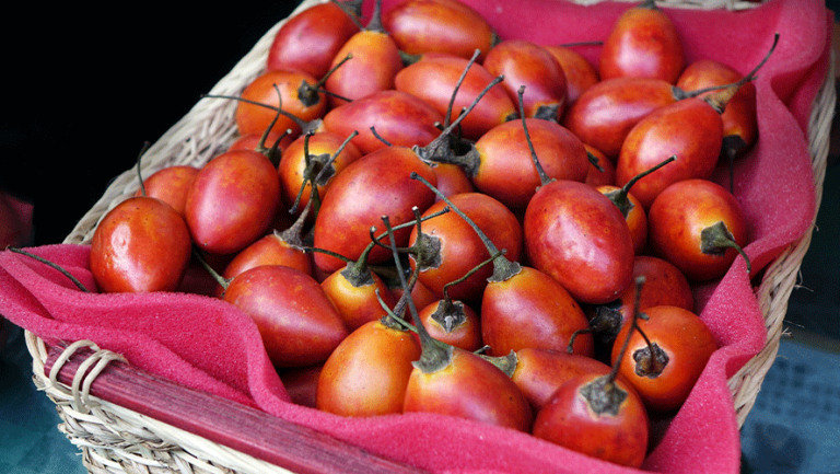 Tamarillo