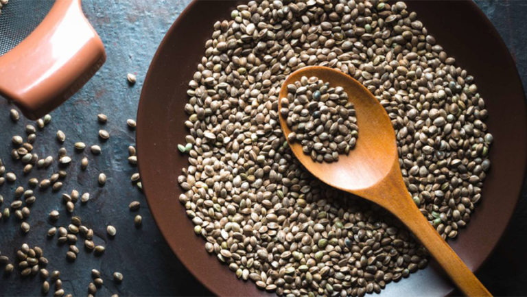 Hemp Seeds