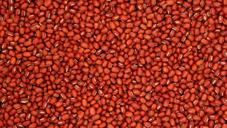 Anasazi Beans