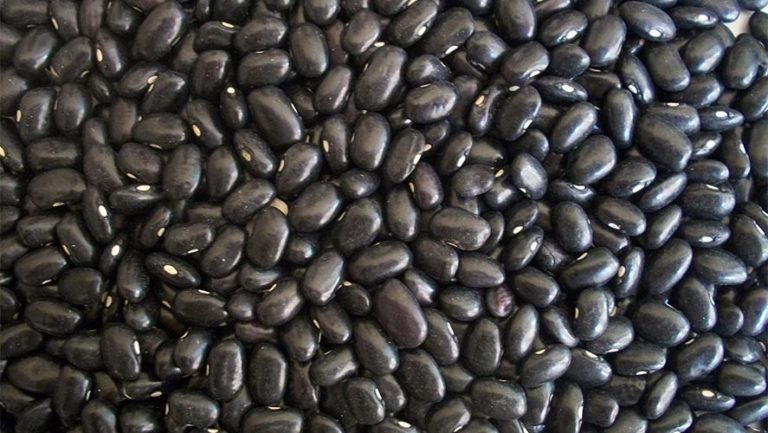 Black Beans-Black Turtle Beans