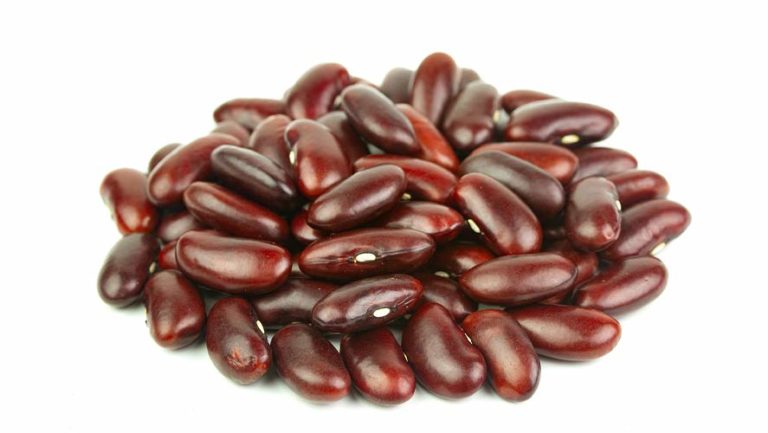 Kidney Beans