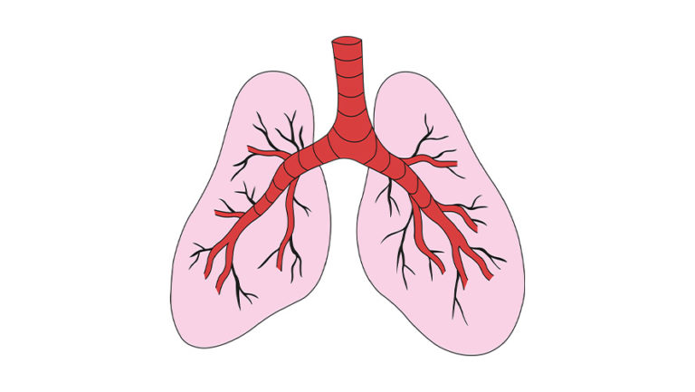 Lung Health