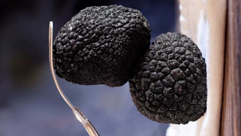 Truffles